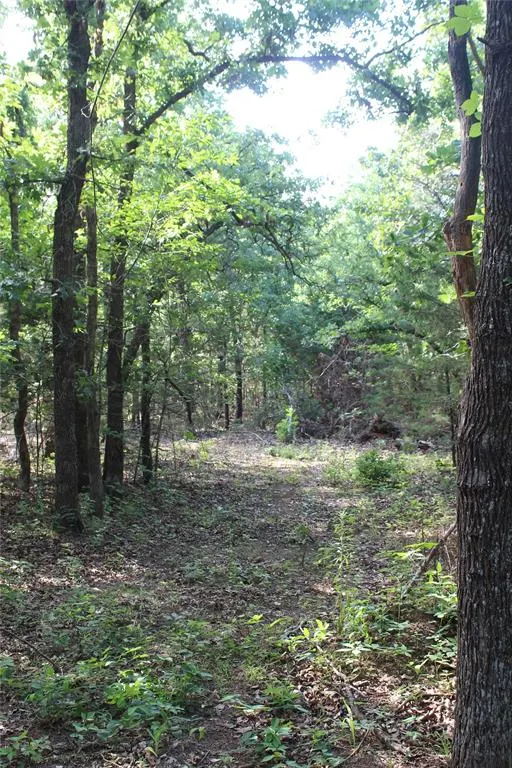 Photo 3 — S Bedrock Cir Street, Wellston, OK 74881