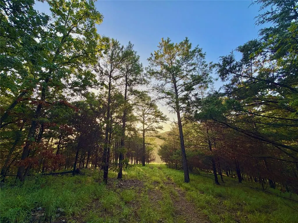 Photo 39 — 3541 Bismark, Tuskahoma, OK 74574