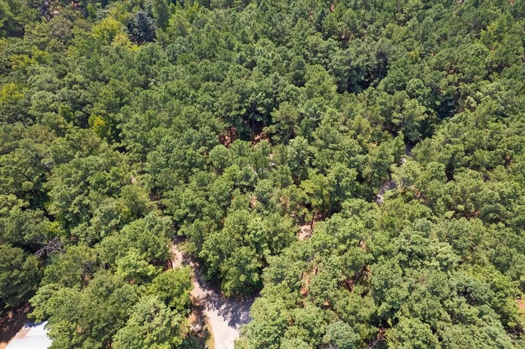 Photo 47 — 29 Candlefish Road, Broken Bow, OK 74728