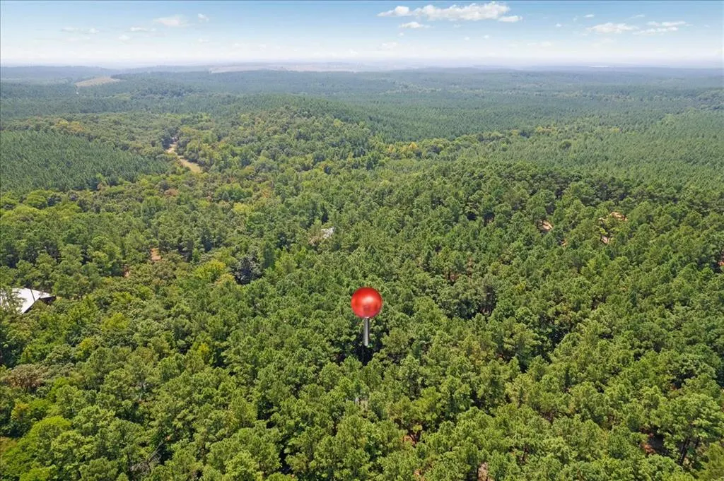 Photo 48 — 29 Candlefish Road, Broken Bow, OK 74728