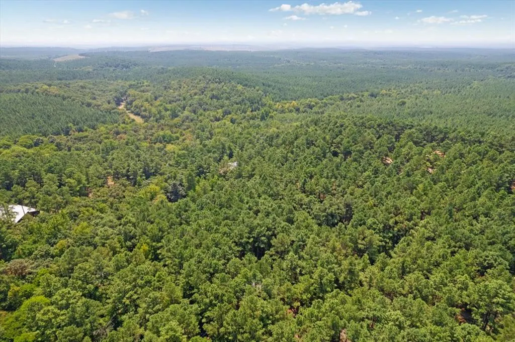 Photo 49 — 29 Candlefish Road, Broken Bow, OK 74728