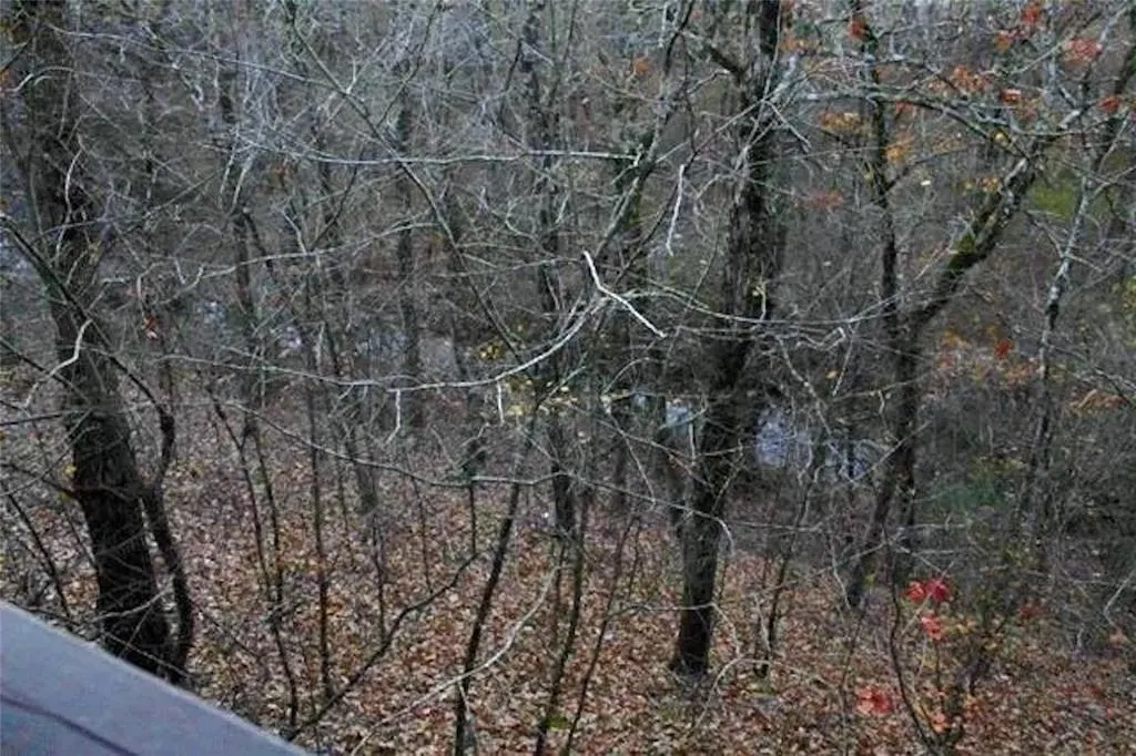 Photo 29 — 324 Lucian Sorrel Road, Broken Bow, OK 74728