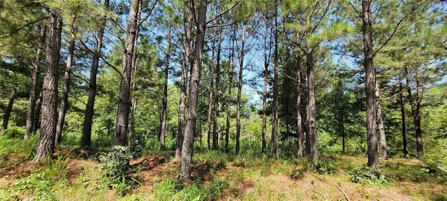 Photo 8 — 28 Creek Side Trail, Broken Bow, OK 74728