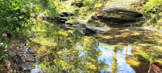 Photo 2 — 74 Creek Side Trail, Broken Bow, OK 74728