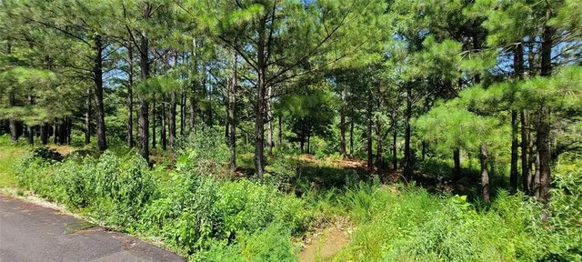 Photo 7 — 74 Creek Side Trail, Broken Bow, OK 74728
