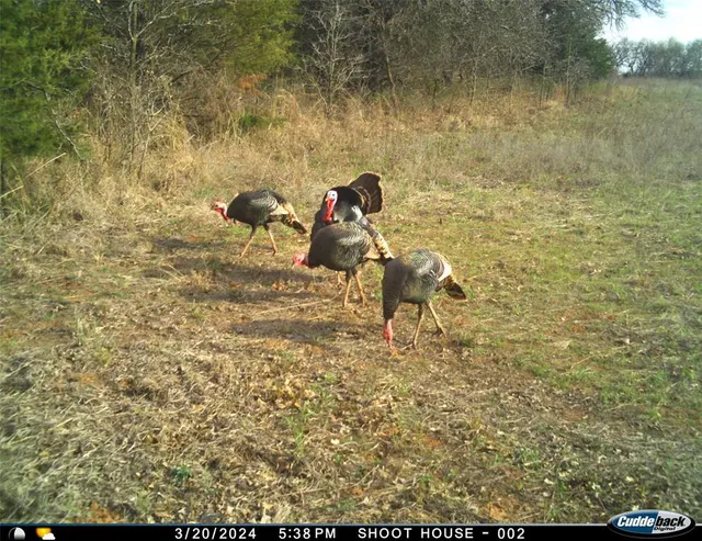 Photo 5 — 8650 Dobbs Road, Luther, OK 73054