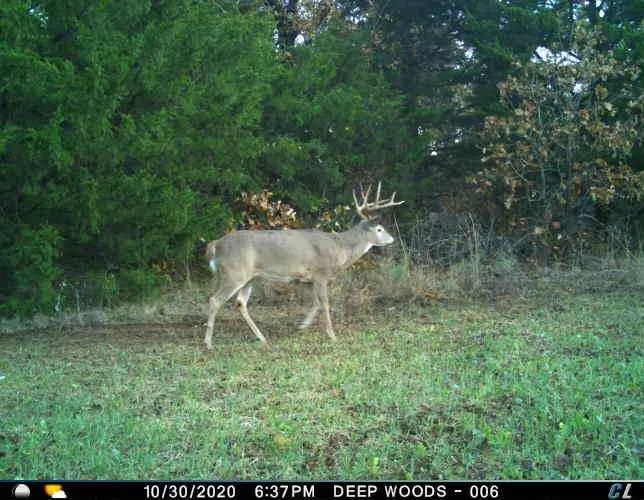 Photo 31 — 8650 Dobbs Road, Luther, OK 73054