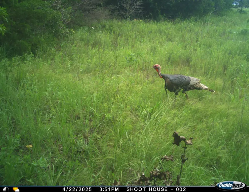 Photo 32 — 8650 Dobbs Road, Luther, OK 73054
