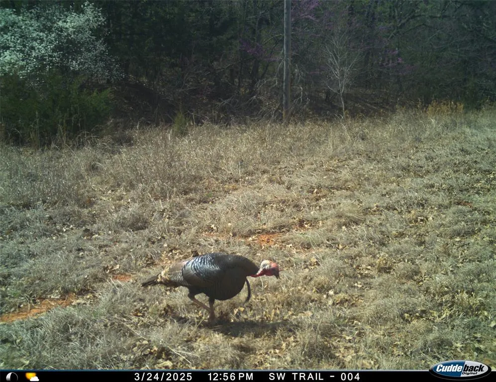 Photo 34 — 8650 Dobbs Road, Luther, OK 73054