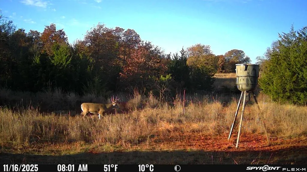 Photo 35 — 8650 Dobbs Road, Luther, OK 73054