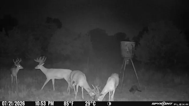 Photo 3 — 8650 Dobbs Road, Luther, OK 73054