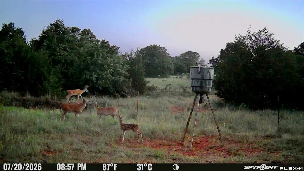 Photo 37 — 8650 Dobbs Road, Luther, OK 73054
