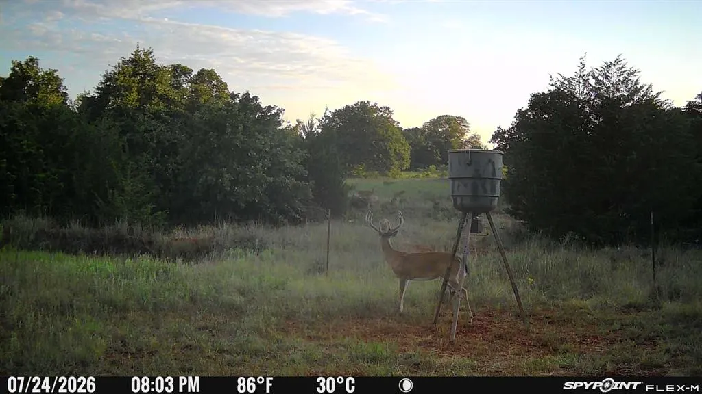 Photo 38 — 8650 Dobbs Road, Luther, OK 73054