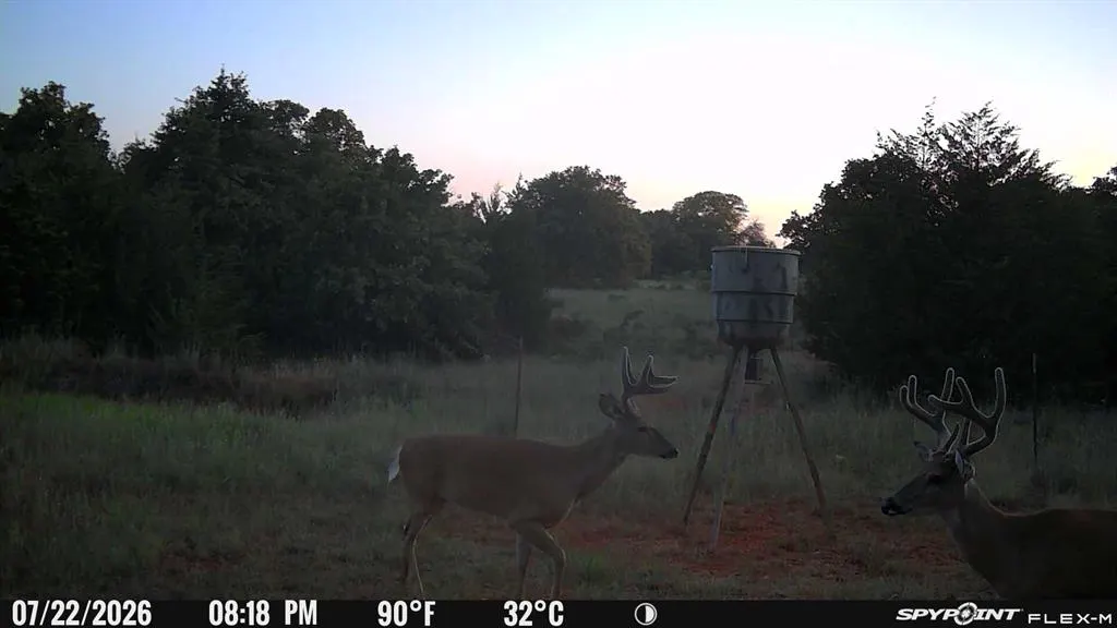 Photo 39 — 8650 Dobbs Road, Luther, OK 73054