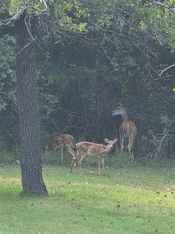 Photo 48 — 10431 Schwartz Drive, Oklahoma City, OK 73165