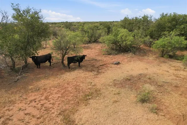 Photo 4 — 1850 N County Road, Eldorado, OK 73537