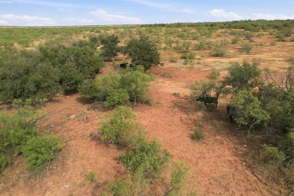 Photo 31 — 1850 N County Road, Eldorado, OK 73537