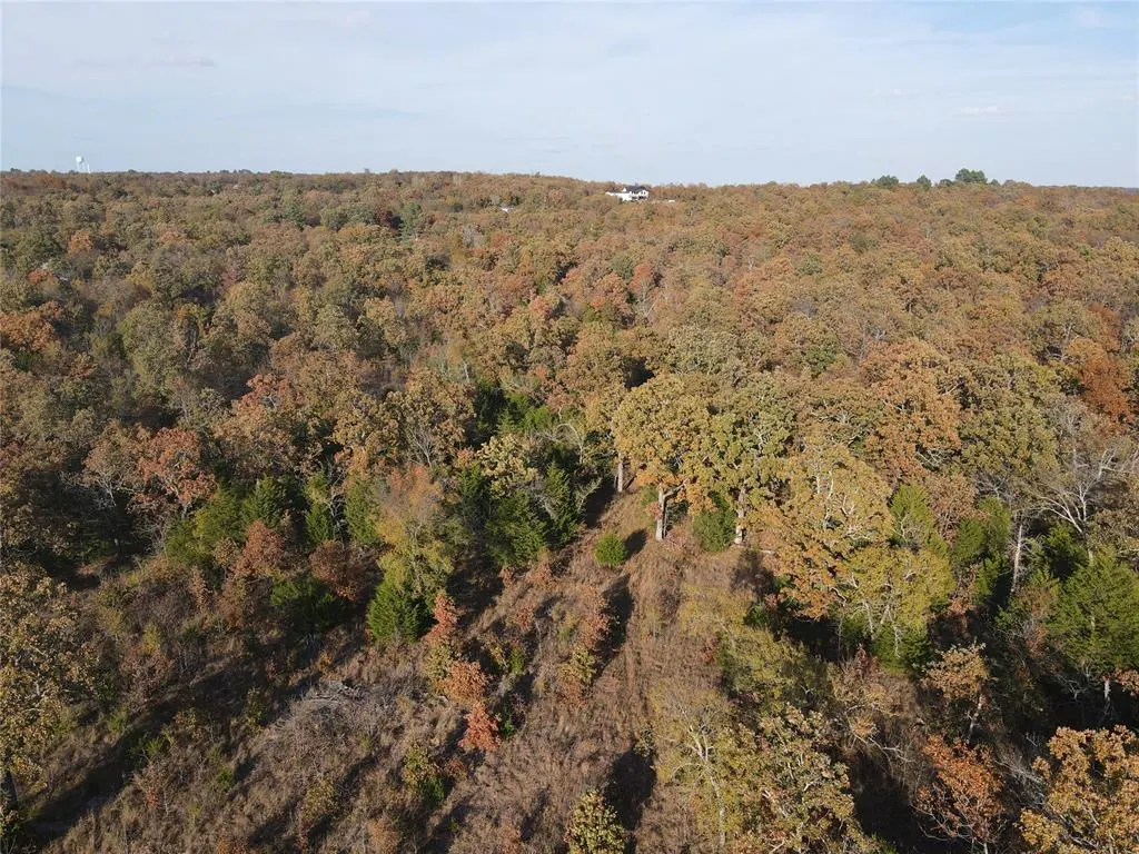Photo 6 — 323 Brooken Mountain Rd. Road, Stigler, OK 74462