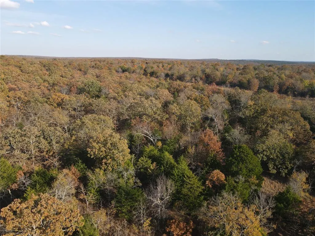 Photo 7 — 323 Brooken Mountain Rd. Road, Stigler, OK 74462