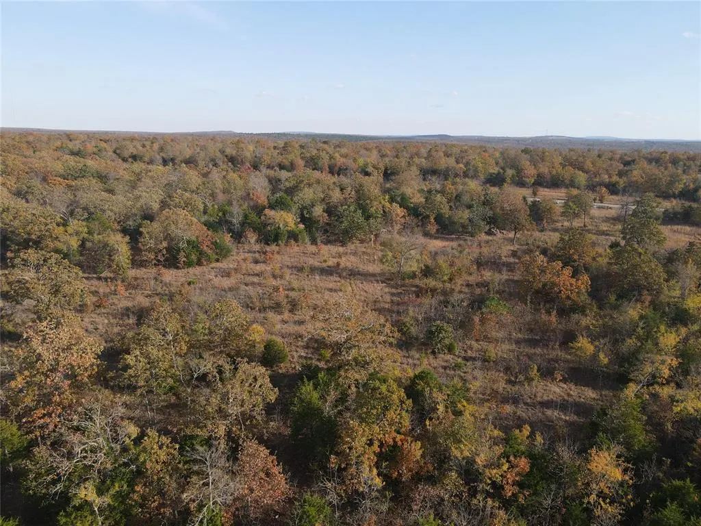 Photo 17 — 323 Brooken Mountain Rd. Road, Stigler, OK 74462