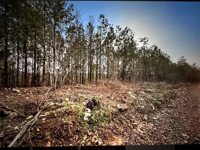 Photo 5 — 192 Evergreen Vista Loop, Broken Bow, OK 74728