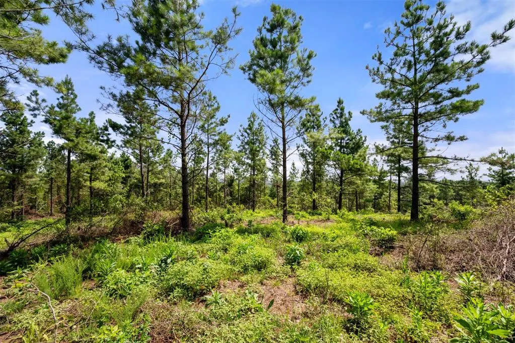 Photo 11 — Paradise Valley Road, Broken Bow, OK 74728