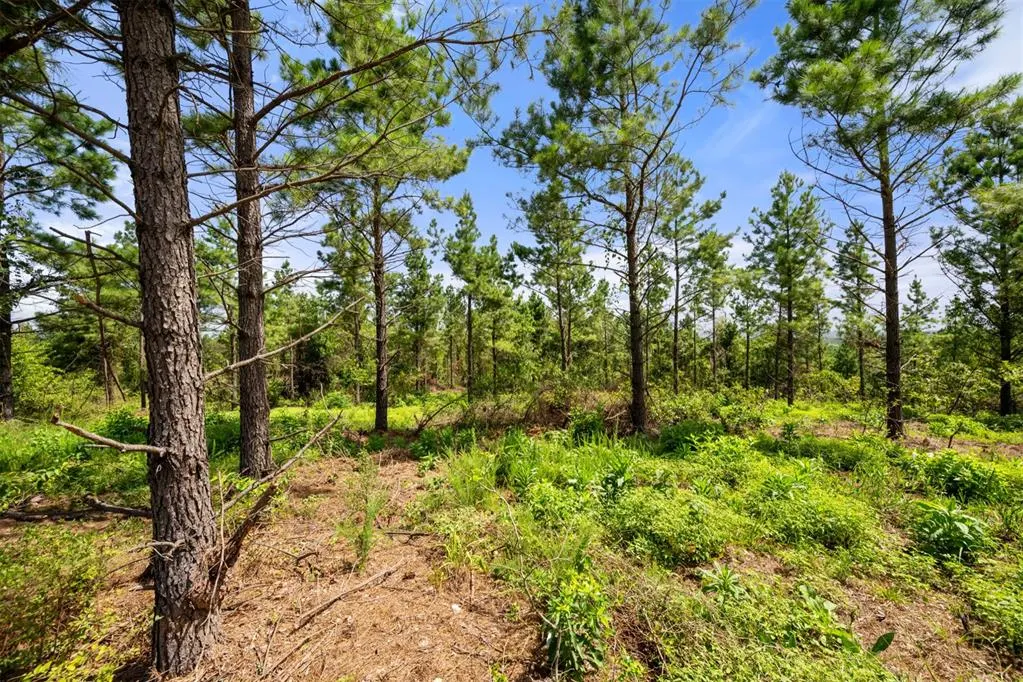 Photo 12 — Paradise Valley Road, Broken Bow, OK 74728