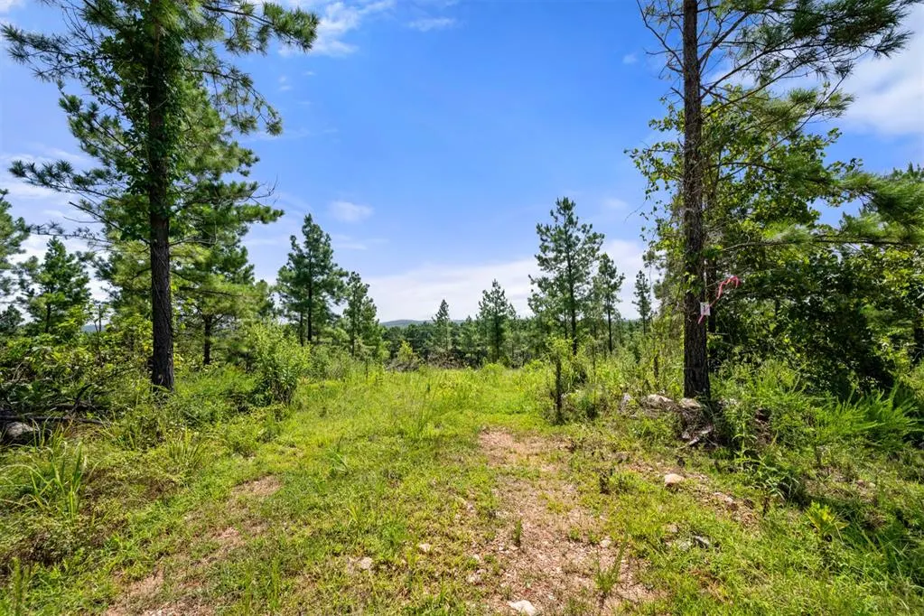 Photo 11 — 1506 Paradise Valley Road, Broken Bow, OK 74728