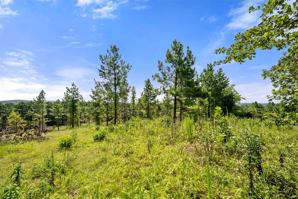 Photo 12 — 1506 Paradise Valley Road, Broken Bow, OK 74728