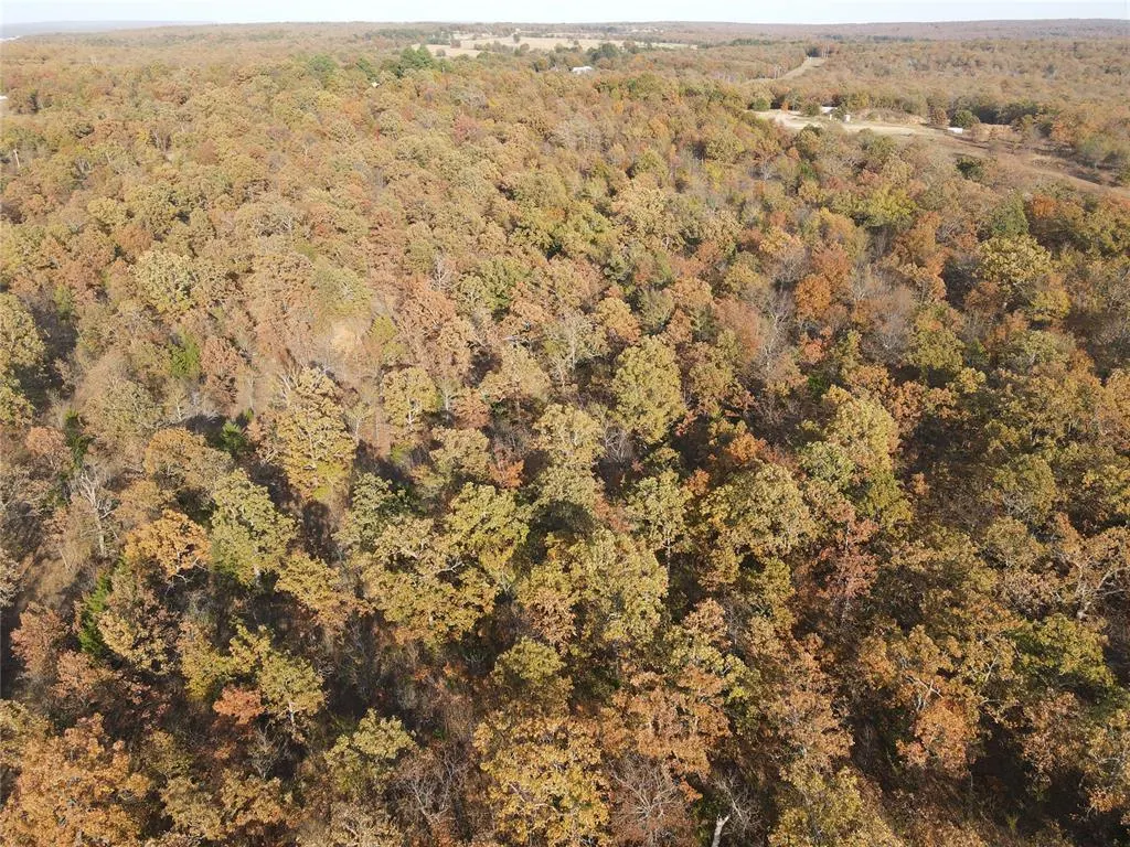 Photo 19 — 347 Brooken Mountain Rd. Road, Stigler, OK 74462