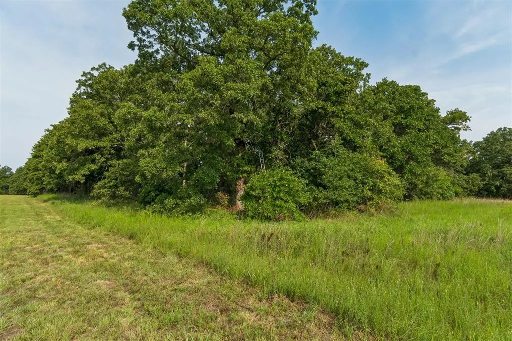 Photo 28 — 34603 Pinehill Road, Bristow, OK 74010