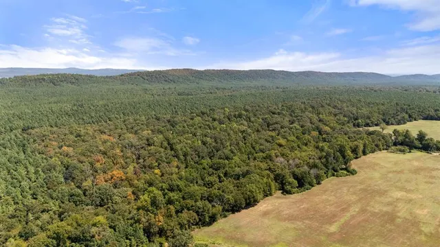 Photo 3 — 36 Ship Bottom Bend, Broken Bow, OK 74728