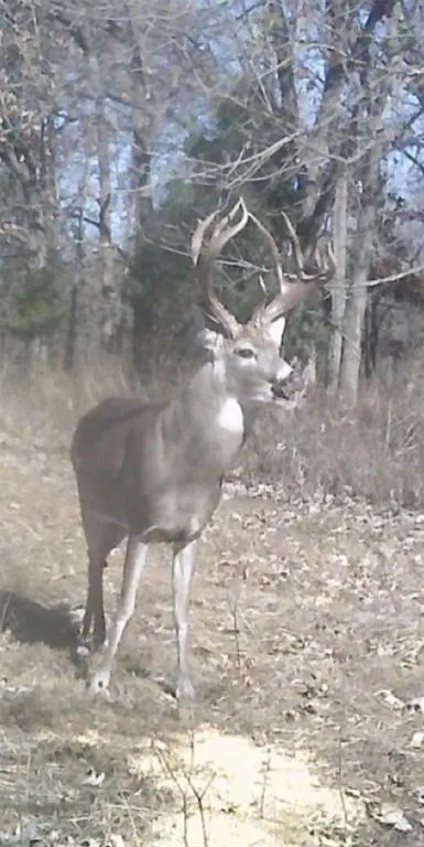Photo 3 — 0 N county 3250 Road, Pauls Valley, OK 73075