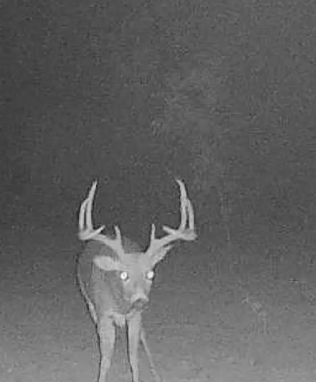 Photo 5 — 0 N county 3250 Road, Pauls Valley, OK 73075