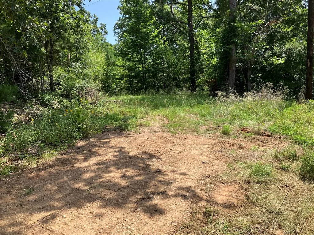 Photo 5 — W West State Highway 3 Highway, Broken Bow, OK 74728
