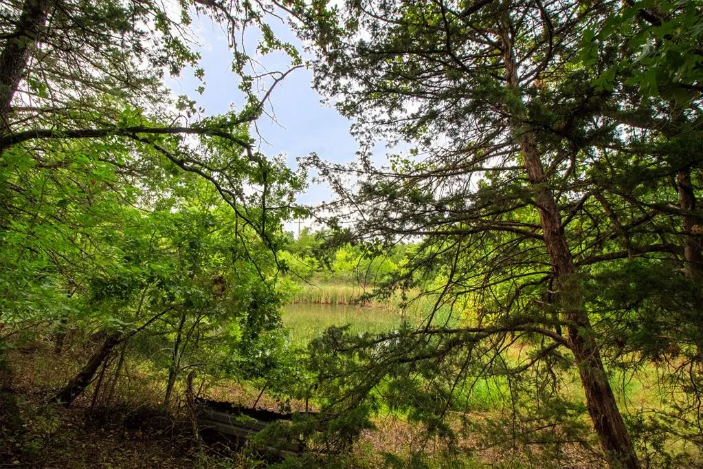 Photo 6 — 5057 Kay Starr Trail, Davis, OK 73030
