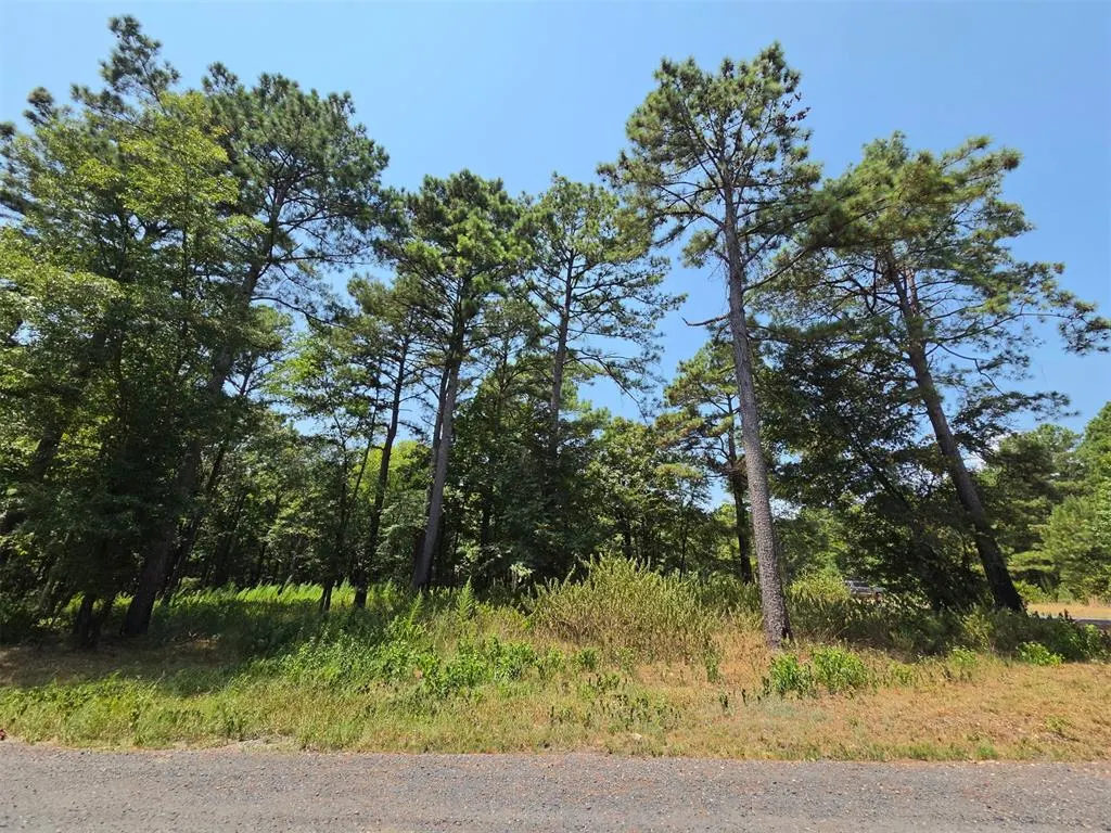 Photo 4 — 252 Split Paddle Lane, Broken Bow, OK 74728