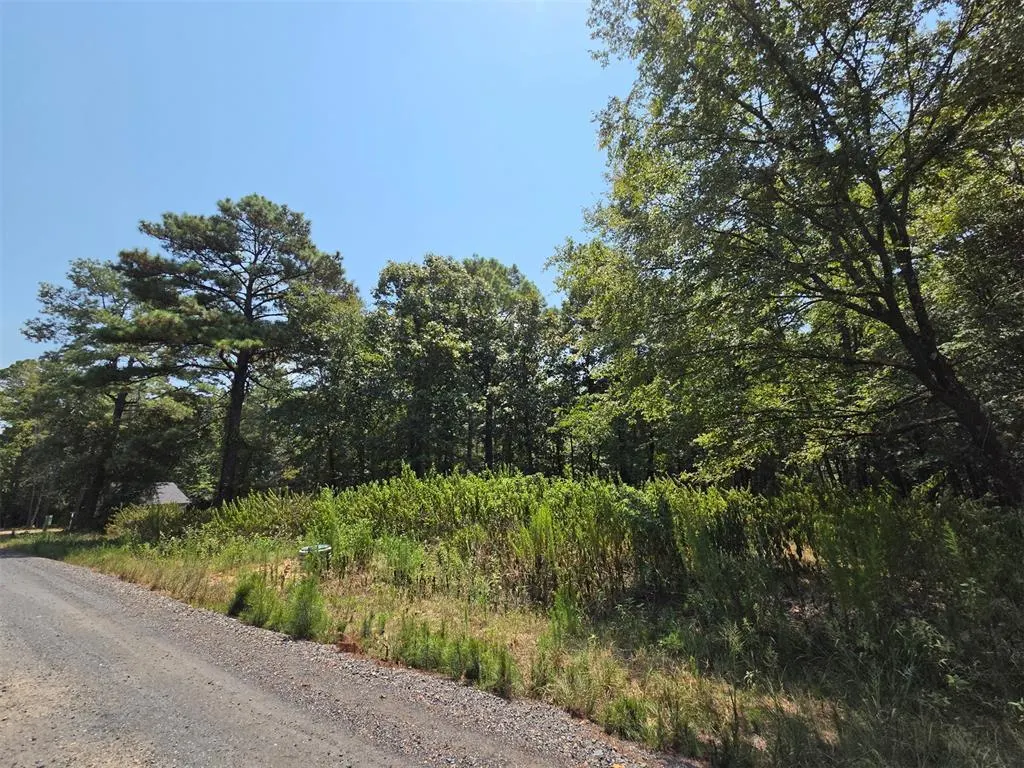 Photo 5 — 252 Split Paddle Lane, Broken Bow, OK 74728