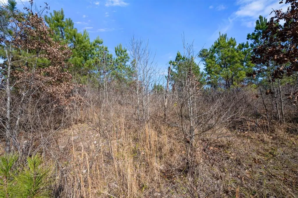 Photo 4 — 346 Kaisley Blue Eye Way, Broken Bow, OK 74728