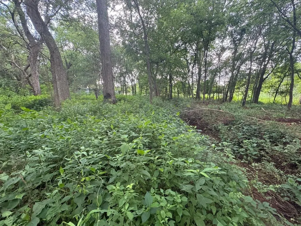 Photo 3 — 60 Pecan Valley Lot 60 Road, Tecumseh, OK 74873