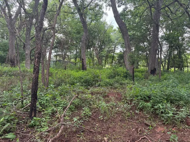 Photo 4 — 60 Pecan Valley Lot 60 Road, Tecumseh, OK 74873