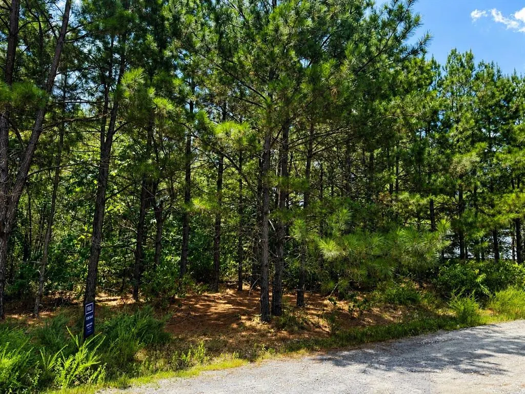 Photo 2 — 186 Twisted Elm Trail, Broken Bow, OK 74728