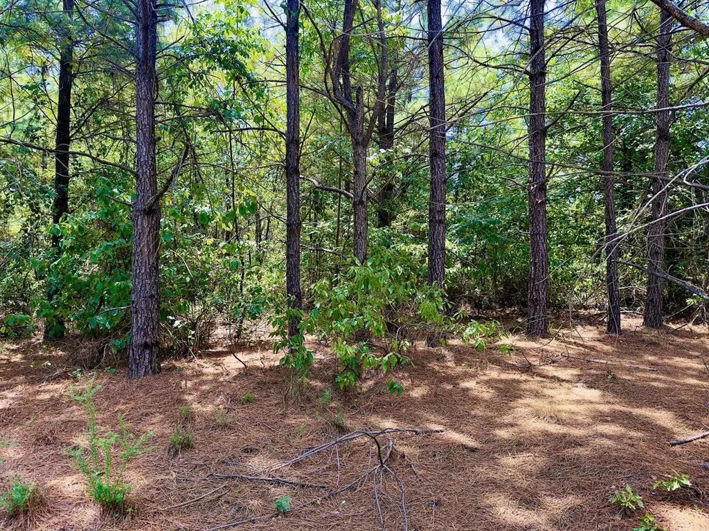 Photo 4 — 186 Twisted Elm Trail, Broken Bow, OK 74728