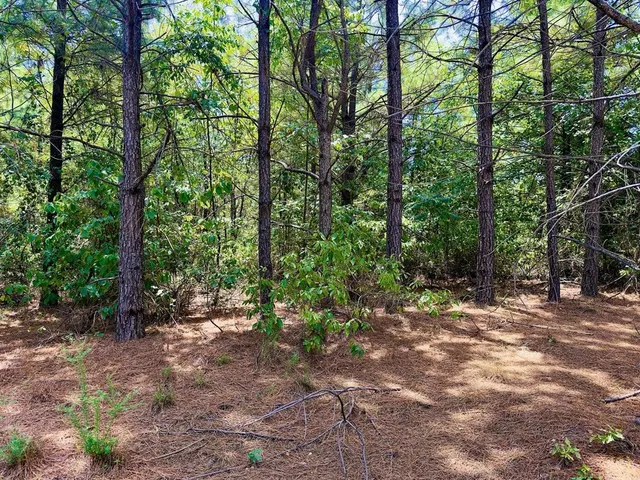 Photo 4 — 186 Twisted Elm Trail, Broken Bow, OK 74728