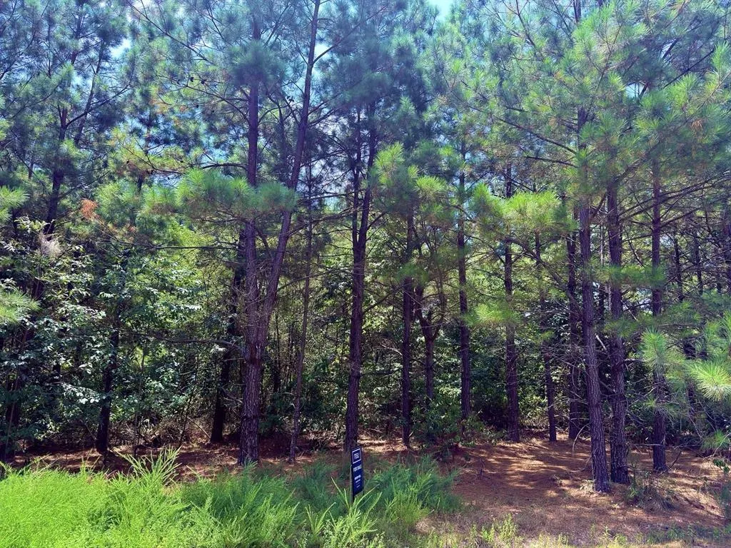 Photo 5 — 186 Twisted Elm Trail, Broken Bow, OK 74728