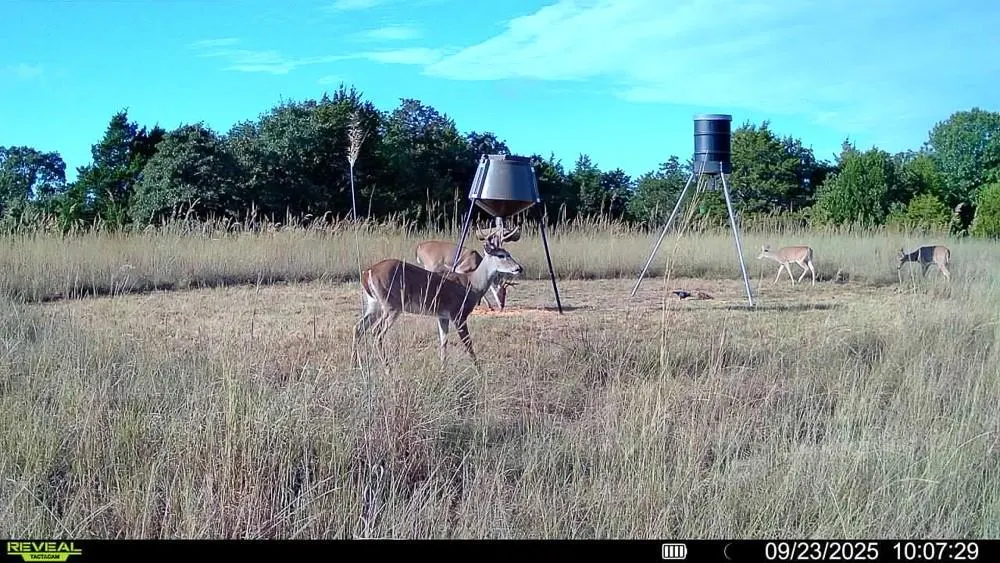 Photo 2 — 24572 W Ropers Road Road, Madill, OK 73446