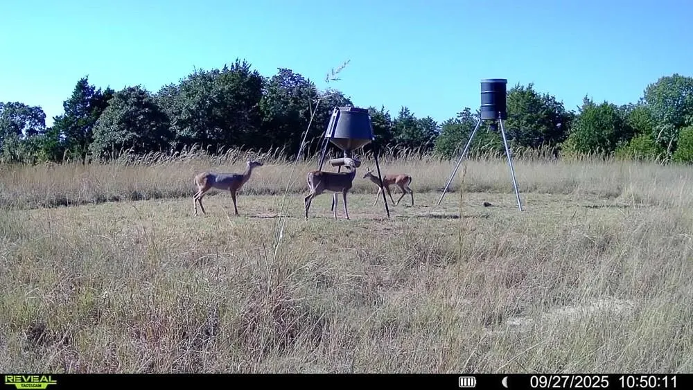 Photo 4 — 24572 W Ropers Road Road, Madill, OK 73446