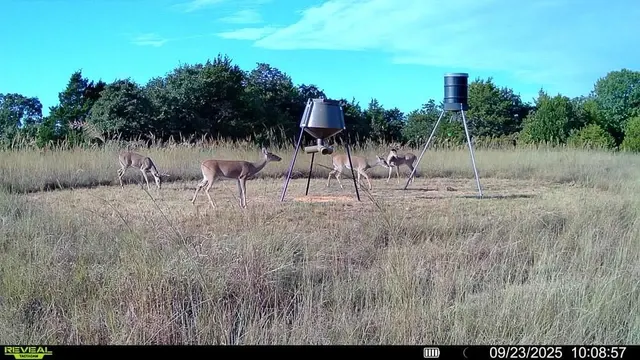 Photo 7 — 24572 W Ropers Road Road, Madill, OK 73446