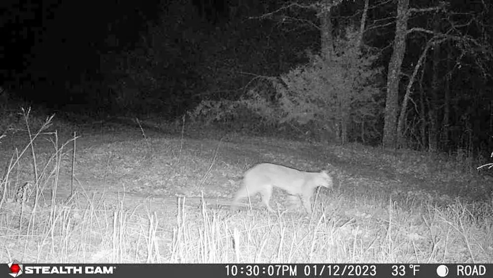 Photo 8 — 24572 W Ropers Road Road, Madill, OK 73446