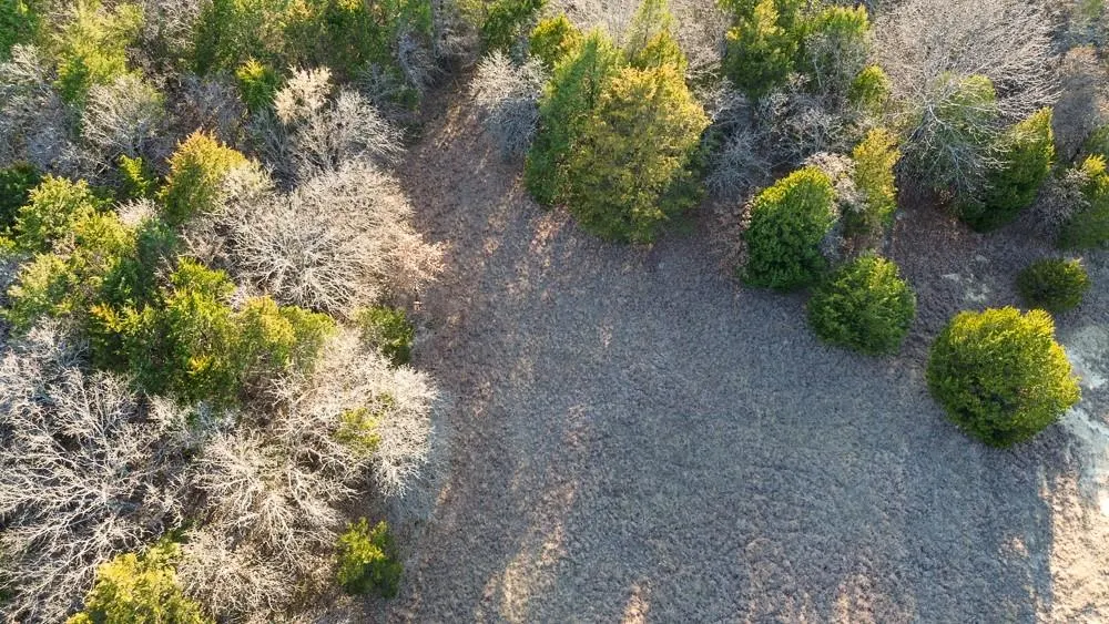 Photo 14 — 24572 W Ropers Road Road, Madill, OK 73446